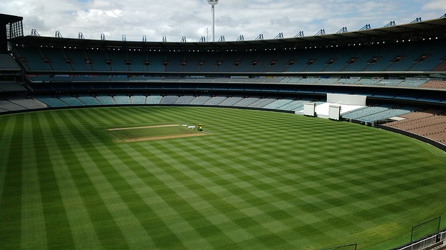 记者：维尼修斯女友在美国涉嫌欠税，可能无法陪他参加世界杯